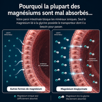 Magnésium glycinate Purylin